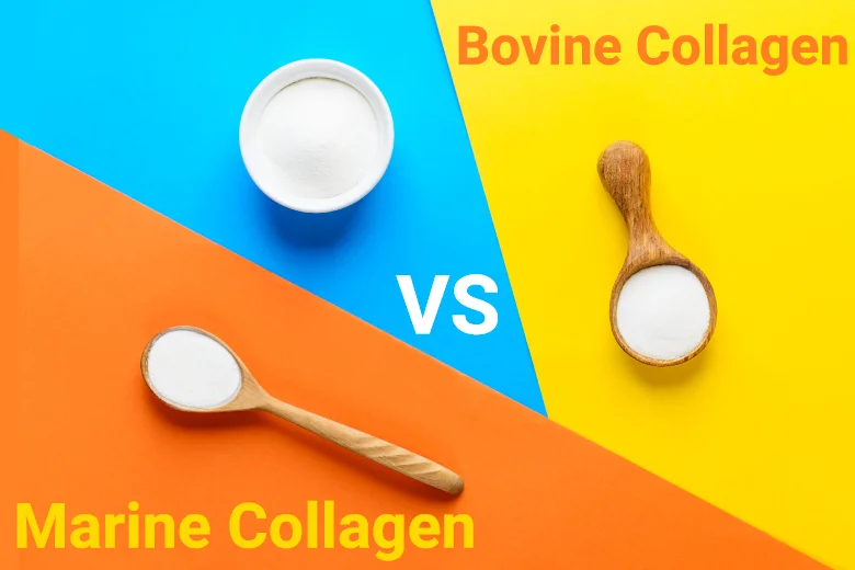 Marine Collagen vs Bovine Collagen