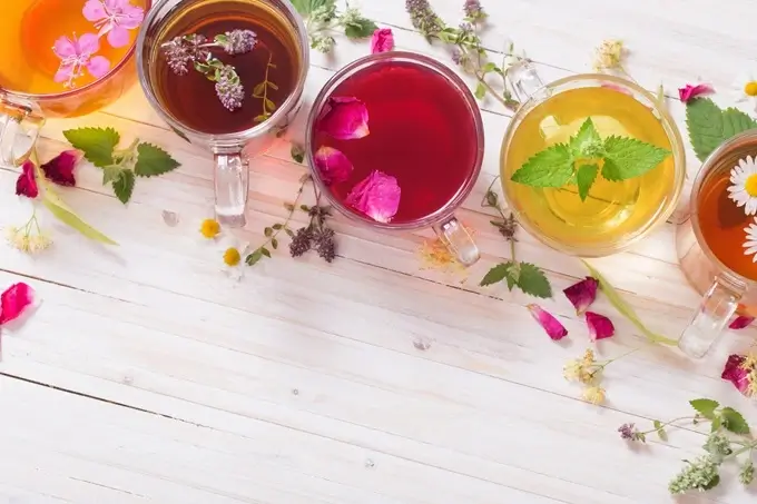 What is Tisane? The Difference Between Tisane and Tea
